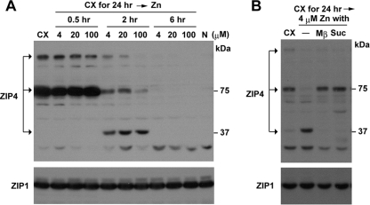 FIG. 7.