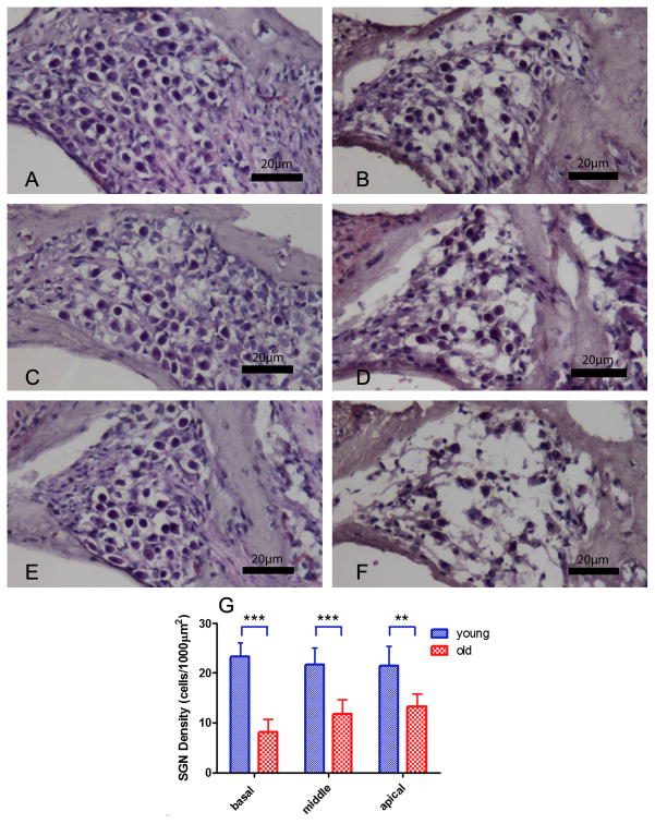 FIG. 6