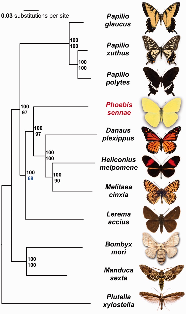 Fig. 2.—