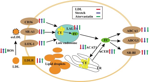 Figure 7