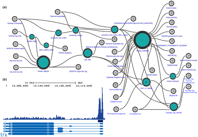 Figure 5: