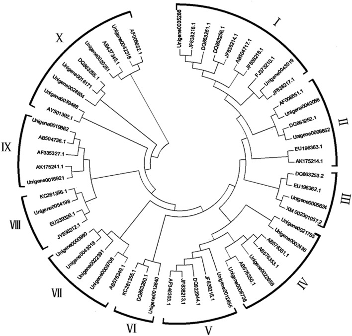 Fig. 1