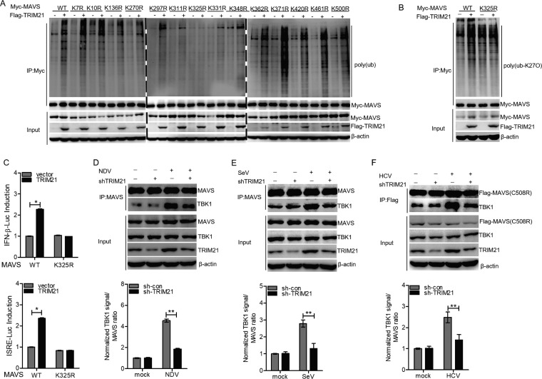 FIG 10