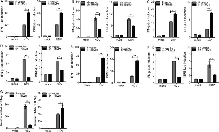 FIG 6