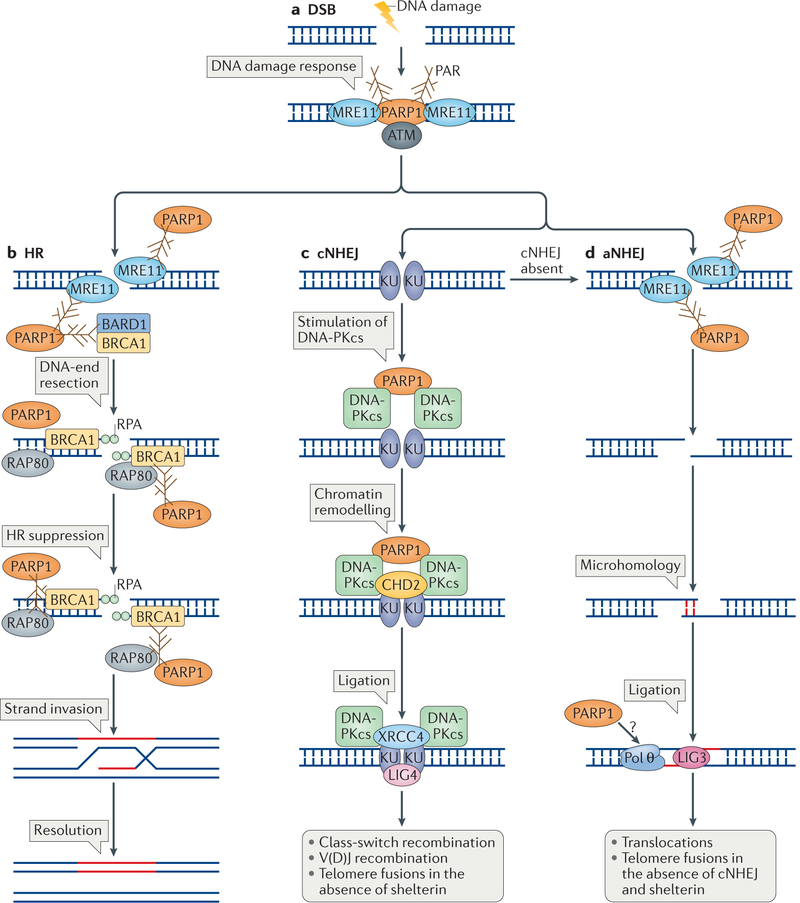 Figure 3 |