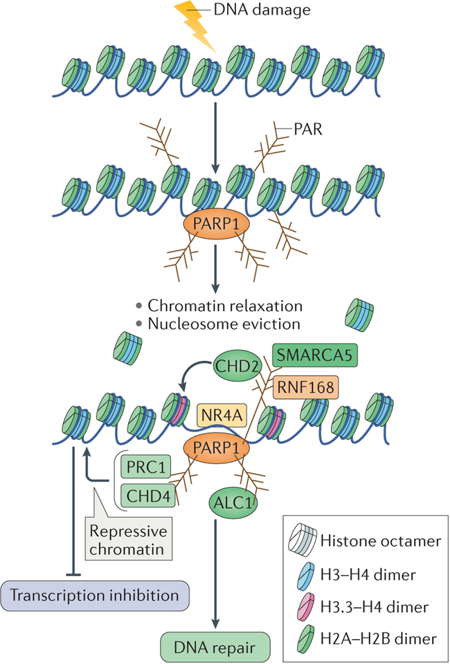 Figure 5 |