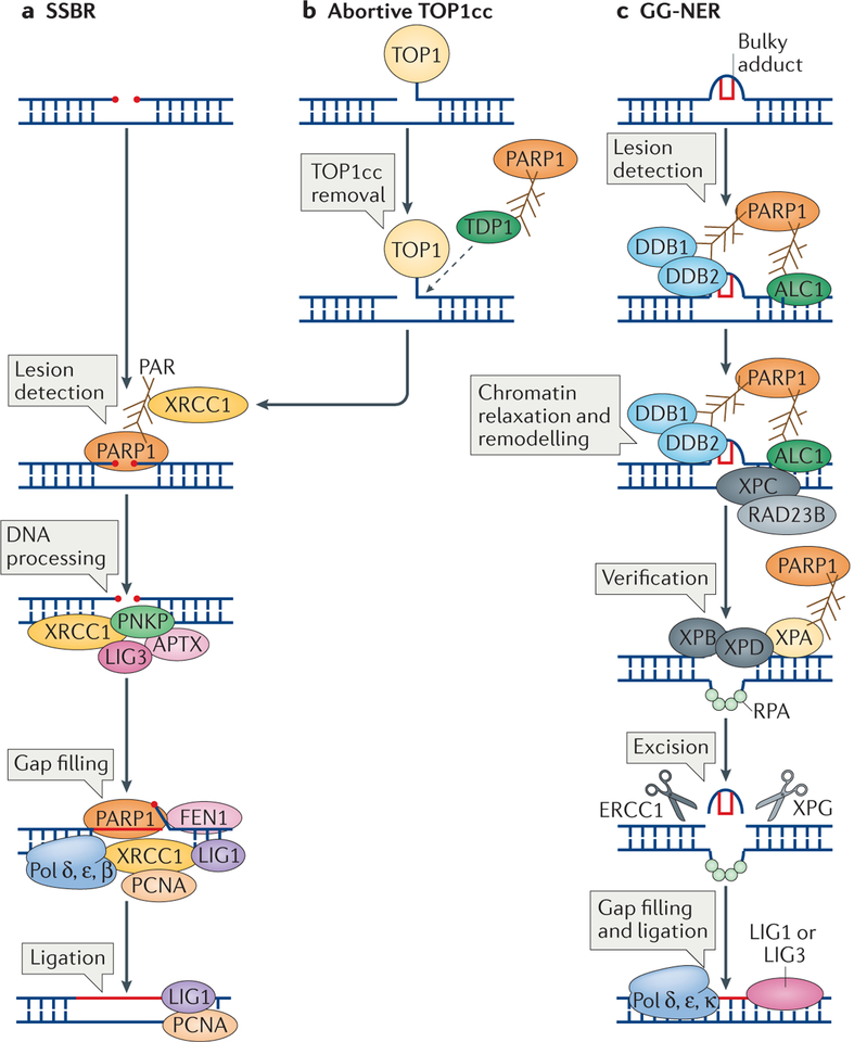 Figure 2 |