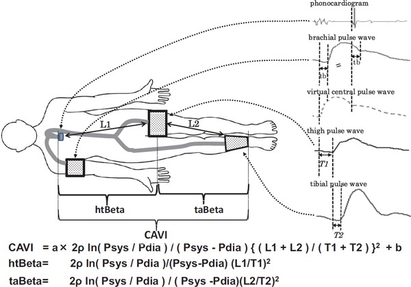 Fig. 1.