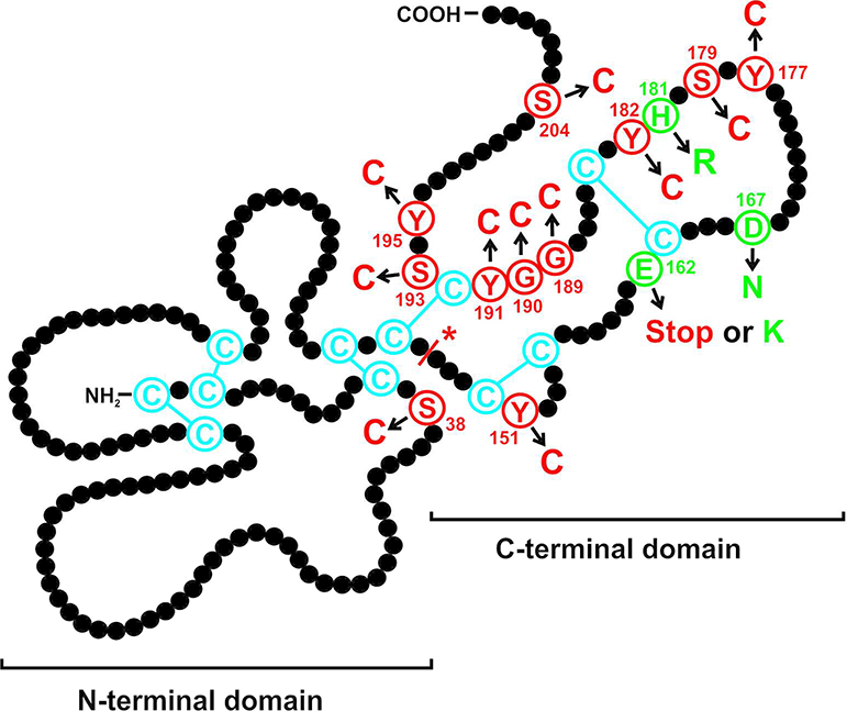 Figure 1: