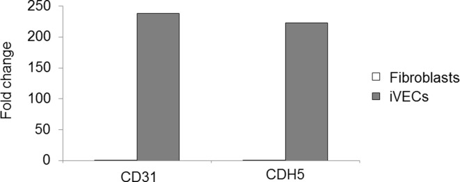 Figure 1—figure supplement 1.