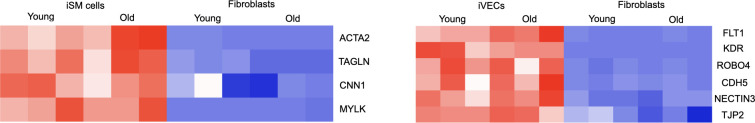 Figure 2—figure supplement 1.