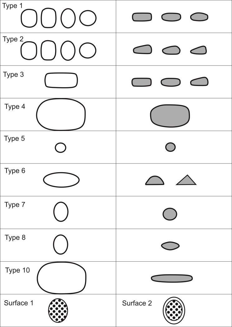 Fig 8