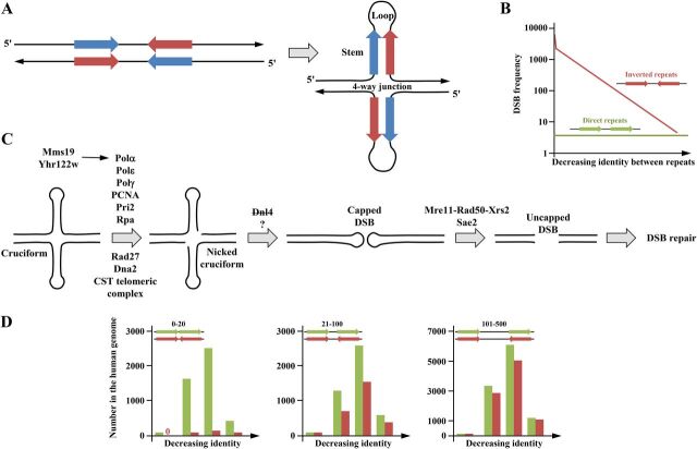 FIG 4