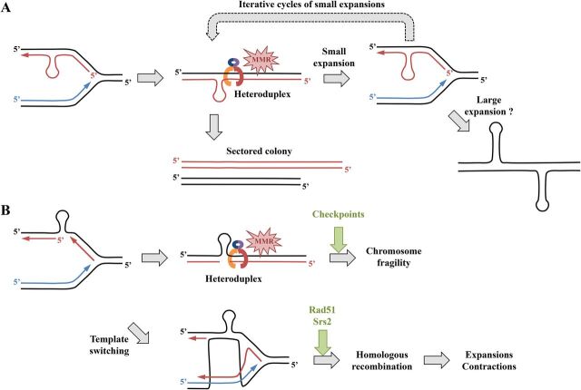 FIG 6