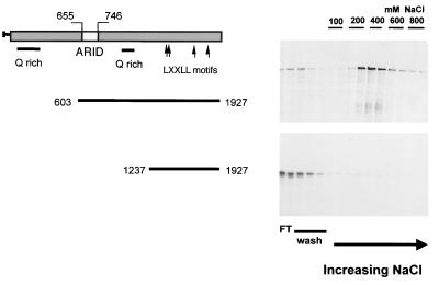 FIG. 6