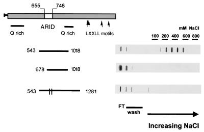 FIG. 7