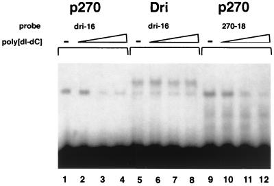 FIG. 10