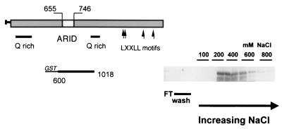 FIG. 8