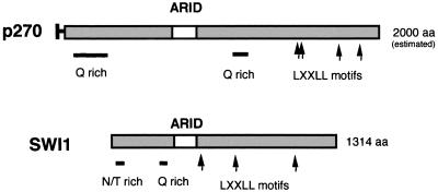 FIG. 5