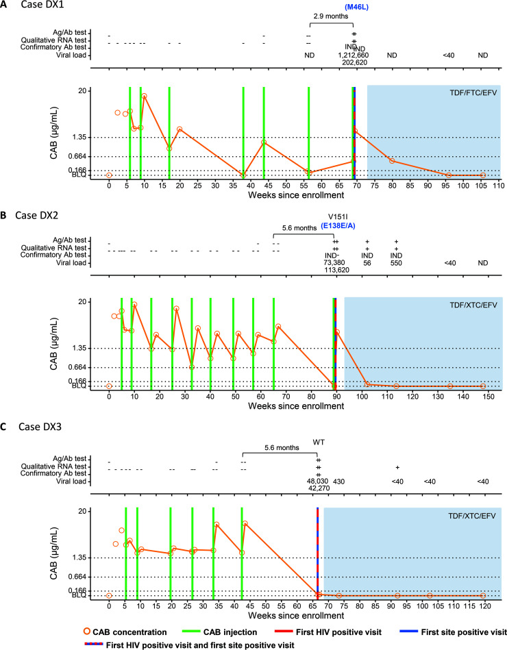 FIG 2