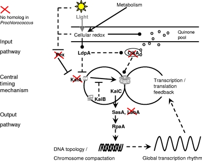 FIG. 4.