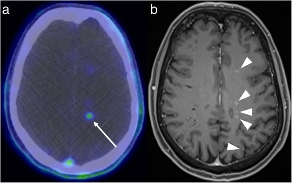 Fig. 7