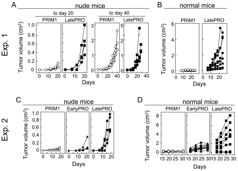 Figure 4