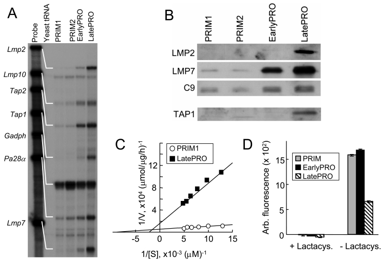 Figure 7