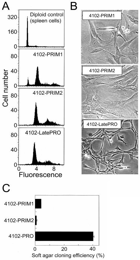 Figure 3