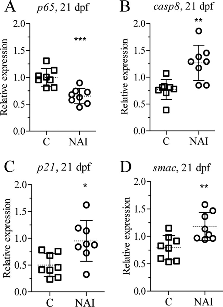 FIGURE 7.