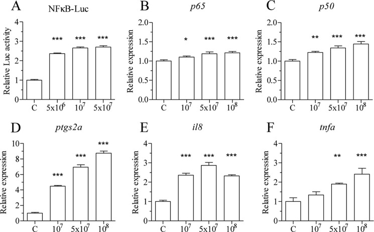 FIGURE 1.