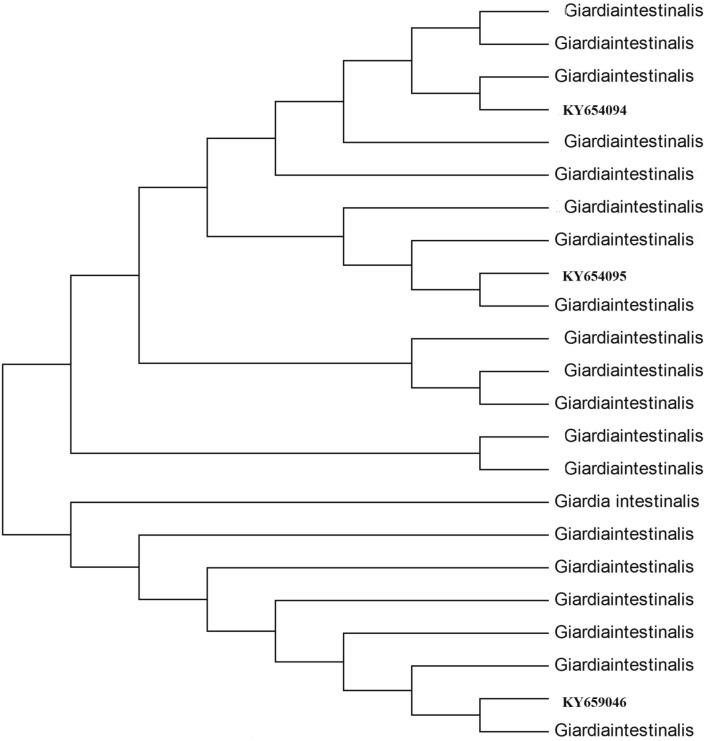 Fig. 13