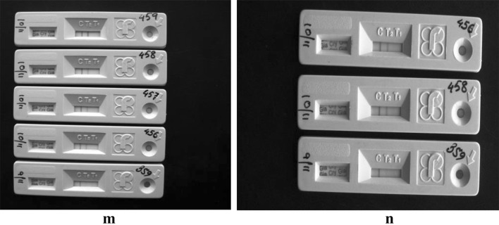 Fig. 7