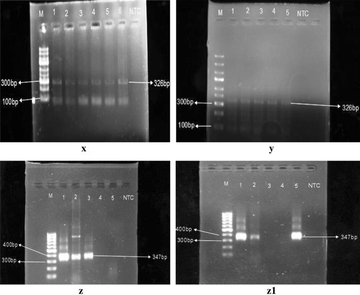 Fig. 12