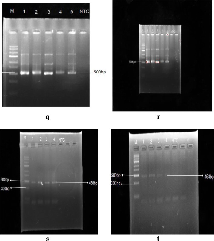 Fig. 9