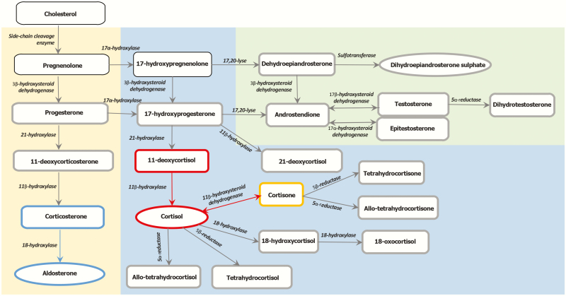 Figure 2.