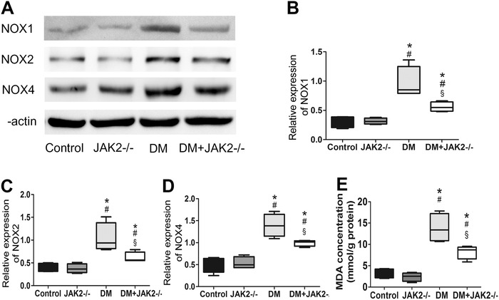 FIGURE 3