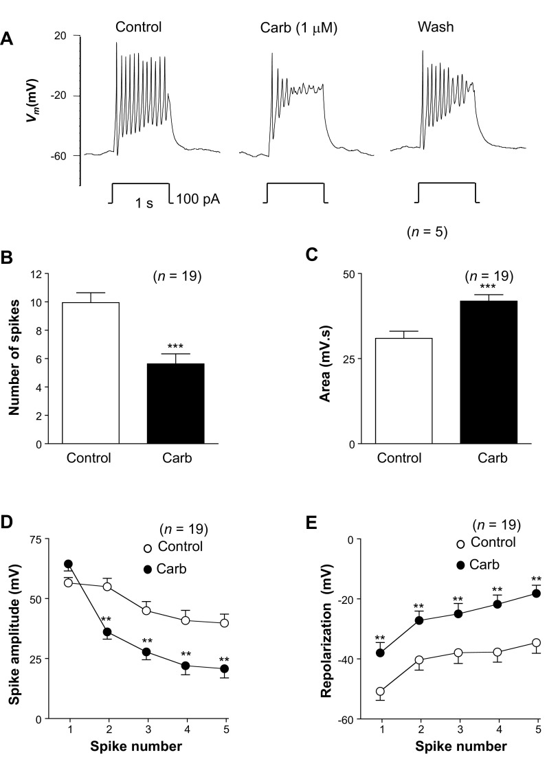 Fig. 8.