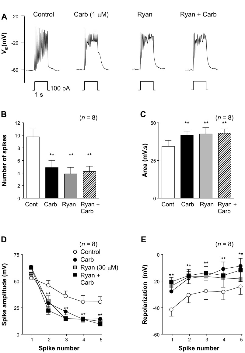 Fig. 10.