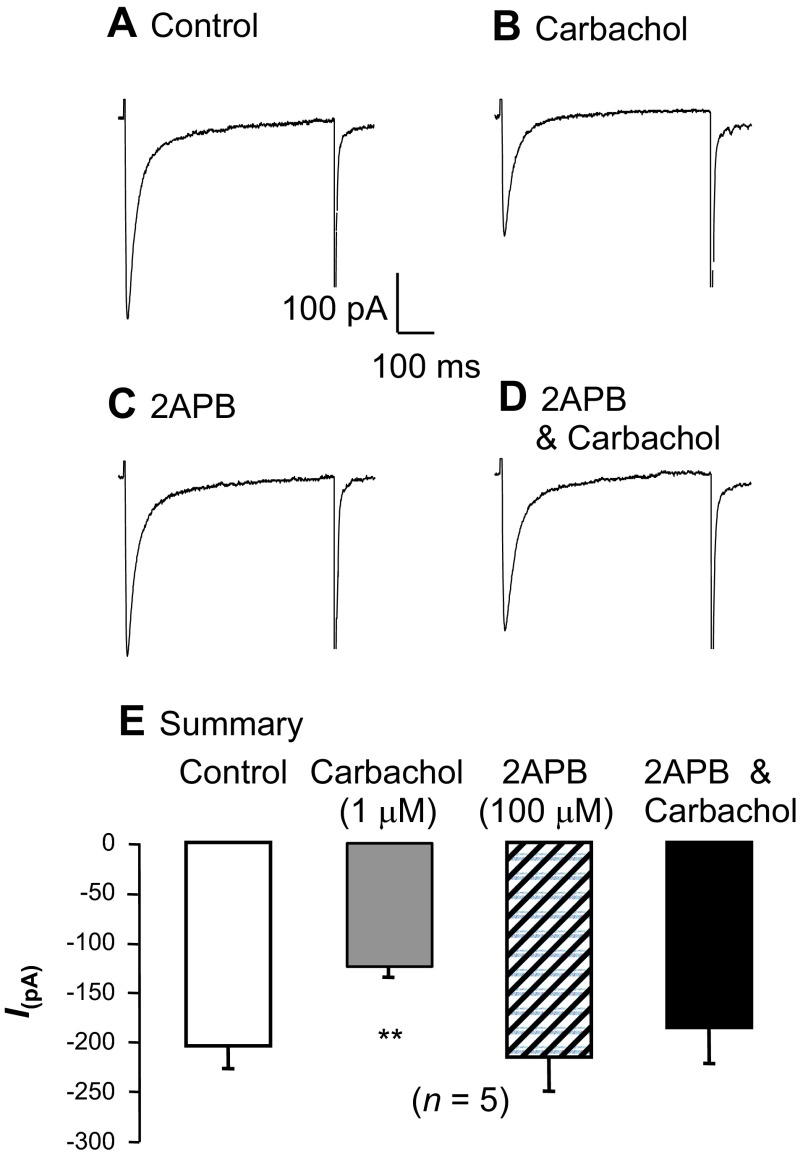 Fig. 6.