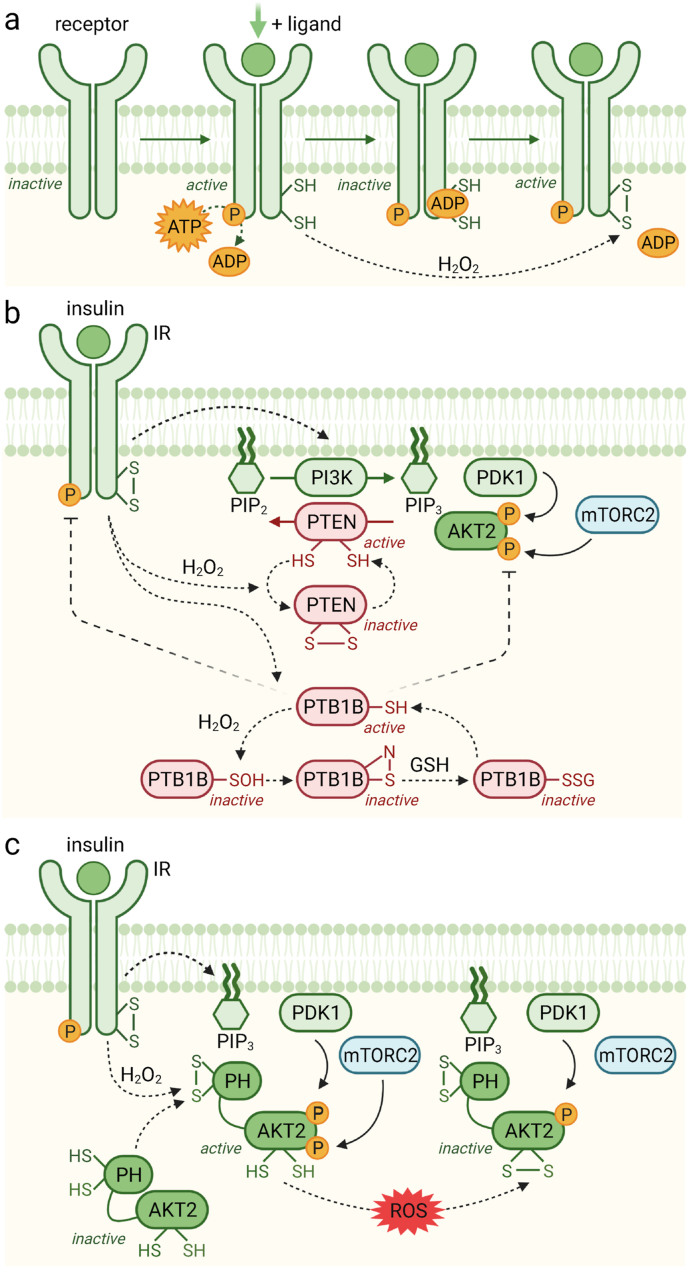 Fig. 3