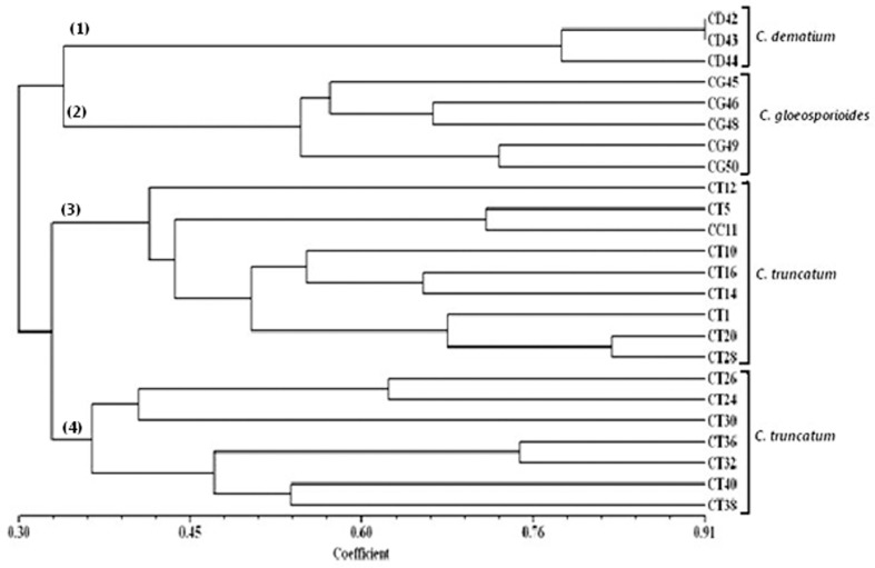 Fig. 5.