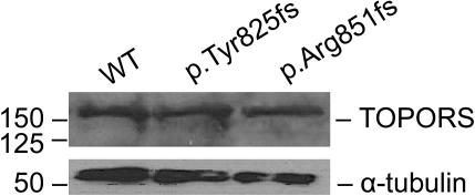 Figure  4. 