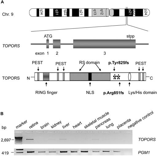 Figure  3. 