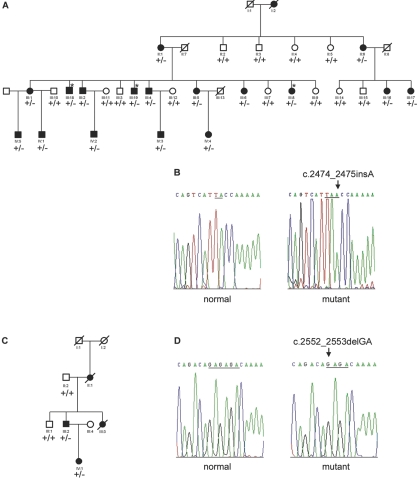 Figure  2. 