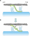 FIGURE 9.