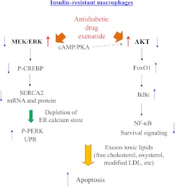 FIG. 7.