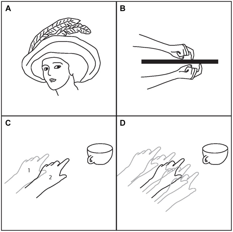 FIGURE 2