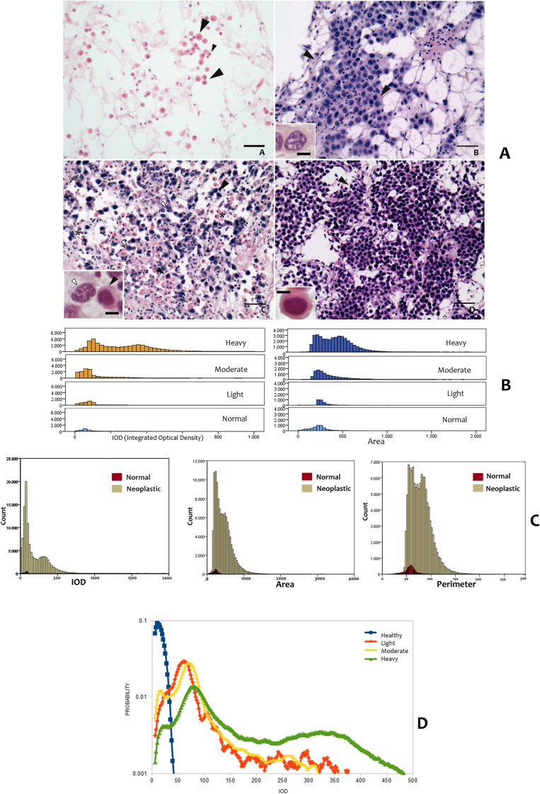 Fig 3