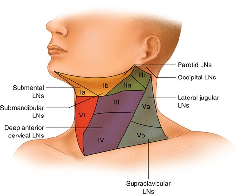 Fig. 8.2